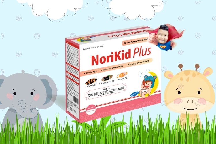 3.12. Norikid Plus - Bổ sung dưỡng chất cho trẻ biếng ăn 1