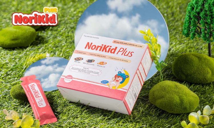 Norikid Plus - Giải pháp khắc phục tiêu hóa kém cho trẻ, hiệu quả và an toàn! 1
