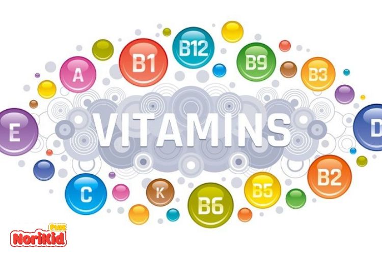 Vai trò của vitamin với cơ thể 1