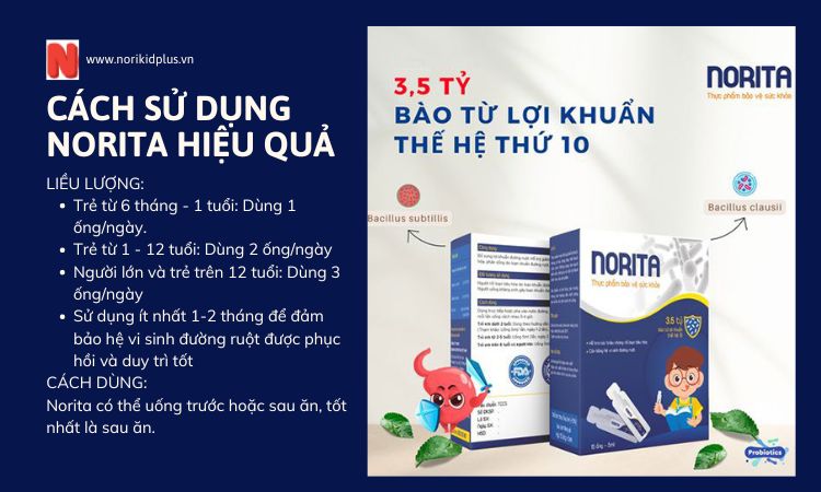 Cách sử dụng Norita hiệu quả 1