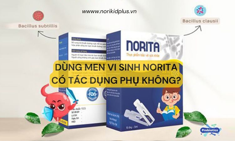 Tác dụng phụ có thể gặp khi uống Norita