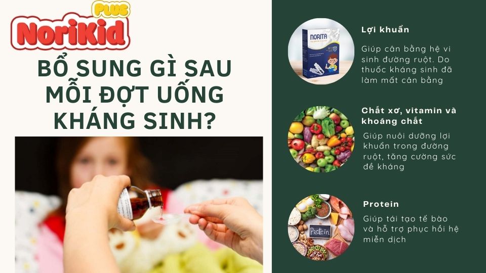 Nên bổ sung gì sau đợt uống kháng sinh cho bé? 1