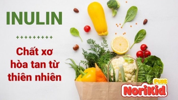 Inulin là gì và đặc điểm của loại chất xơ này? 1