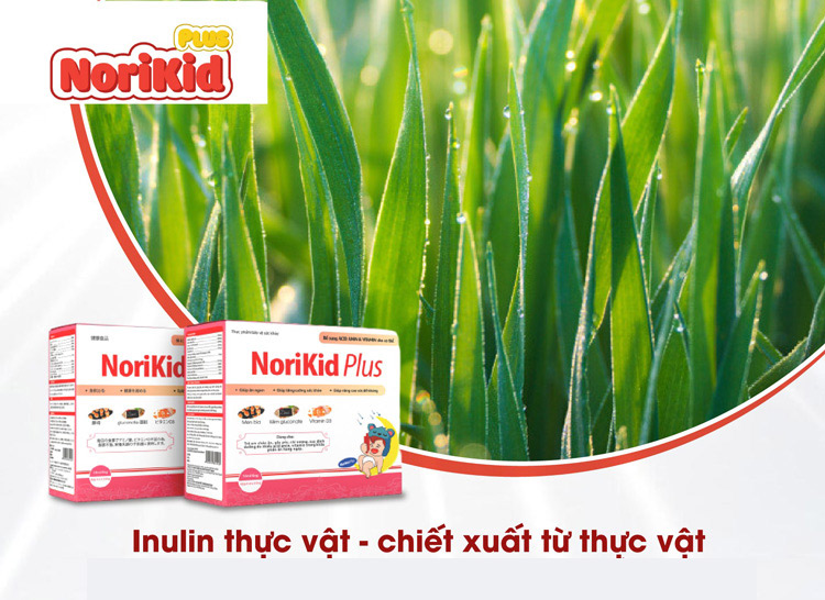 Norikid Plus bổ sung Inulin và cùng các dưỡng chất cho bé 1