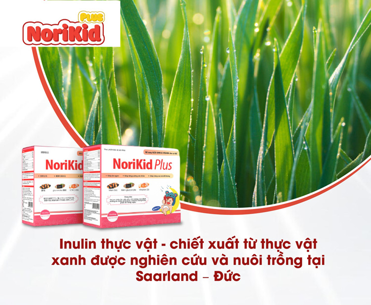 Norikid Plus bổ sung Inulin và cùng các dưỡng chất cho bé 1