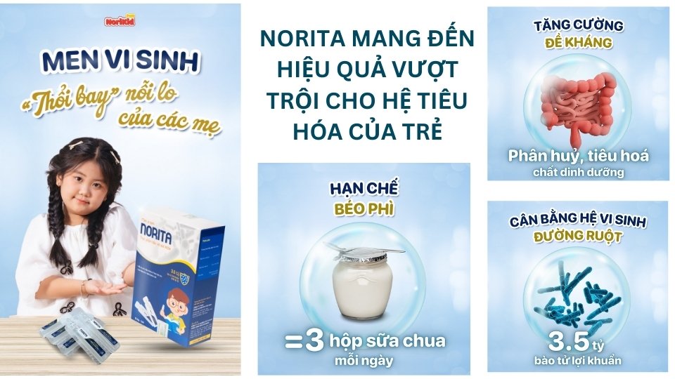 Công dụng của lợi khuẩn Norita đối với hệ tiêu hóa và sức khỏe 1