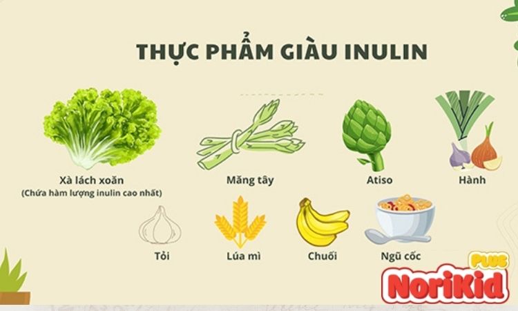 Các nguồn bổ sung chất xơ inulin cho bé 1