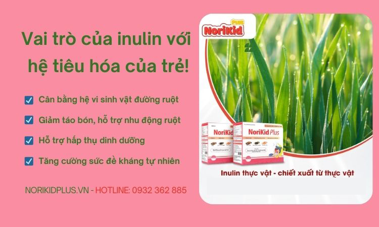 Vai trò của Inulin với hệ tiêu hóa của trẻ 1