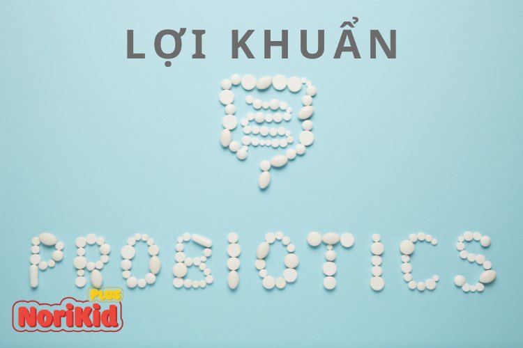 2. Thực phẩm bổ sung lợi khuẩn (Probiotics) 1