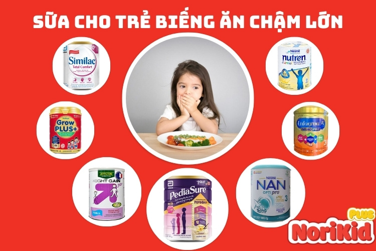 Top 7 loại sữa dành cho trẻ biếng ăn chậm lớn mẹ không thể bỏ qua 1